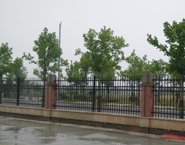 福州铁艺护栏使用案例